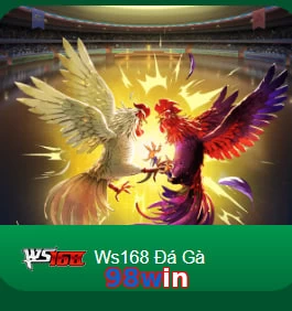 98win